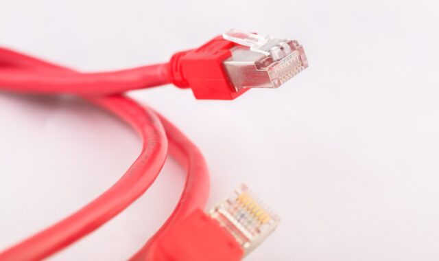 network cable, patch cord, network, lan, patch, rj-45, dsl, lan cable, power cord, network plug, internet, plug, management, network cable, lan, lan, lan, dsl, dsl, lan cable, lan cable, lan cable, lan cable, lan cable, power cord