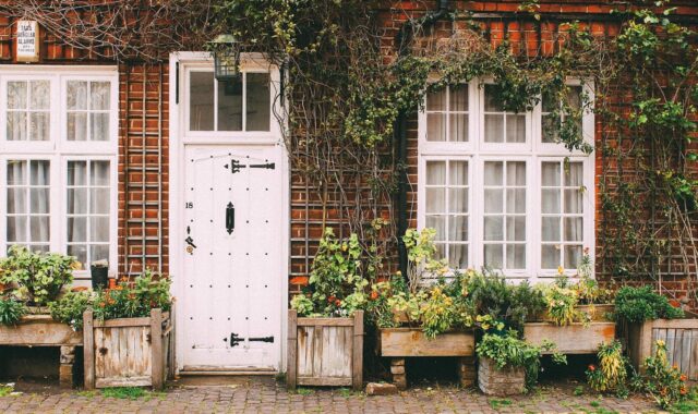 house, home, door, sidewalk, cobblestone, bricks, vines, plants, brown home, brown house, brown plant, brown door, nature, brown plants