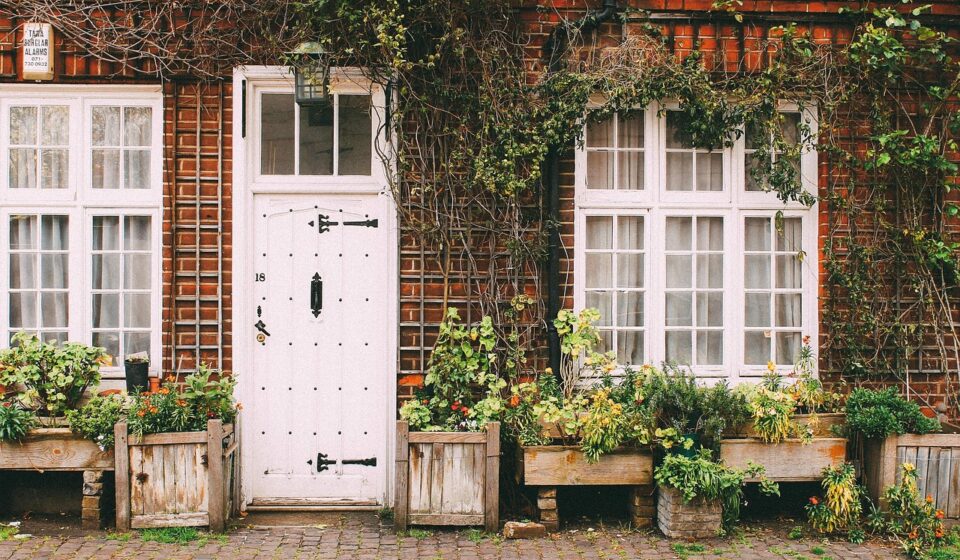 house, home, door, sidewalk, cobblestone, bricks, vines, plants, brown home, brown house, brown plant, brown door, nature, brown plants