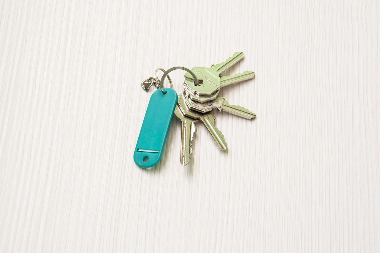 keys, home, door keys, house, estate, real, security, apartment, property, unlock, close, secure, safety, door, keys, keys, door keys, property, property, property, property, property