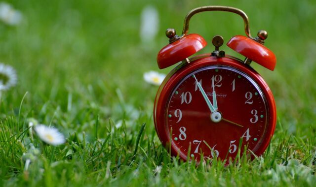 the eleventh hour, catastrophe, alarm clock, nature, clock, ring the bell, dial, pointer, hours, beautiful flowers, time display, flower background, flower wallpaper, time, meadow, flower, green