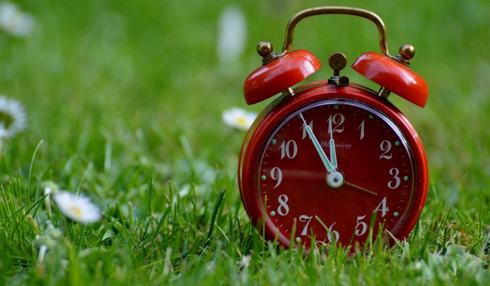 the eleventh hour, catastrophe, alarm clock, nature, clock, ring the bell, dial, pointer, hours, beautiful flowers, time display, flower background, flower wallpaper, time, meadow, flower, green
