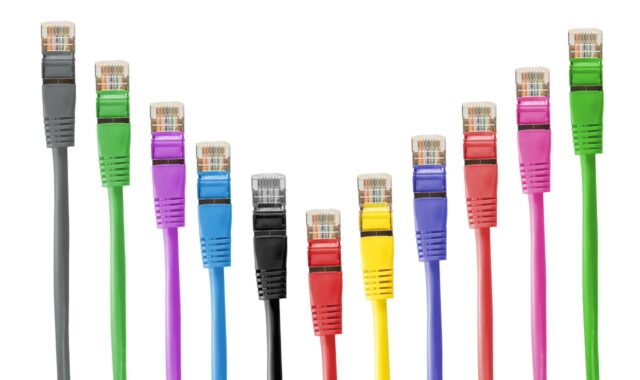 network plug, network cable, cable, patch, patch cord, rj, rj45, rj-45, network, management, dsl, data processing, connection, plug, lan, lan cable, network cable, network cable, network cable, cable, cable, cable, cable, cable, rj45, network, plug, lan, lan cable, lan cable